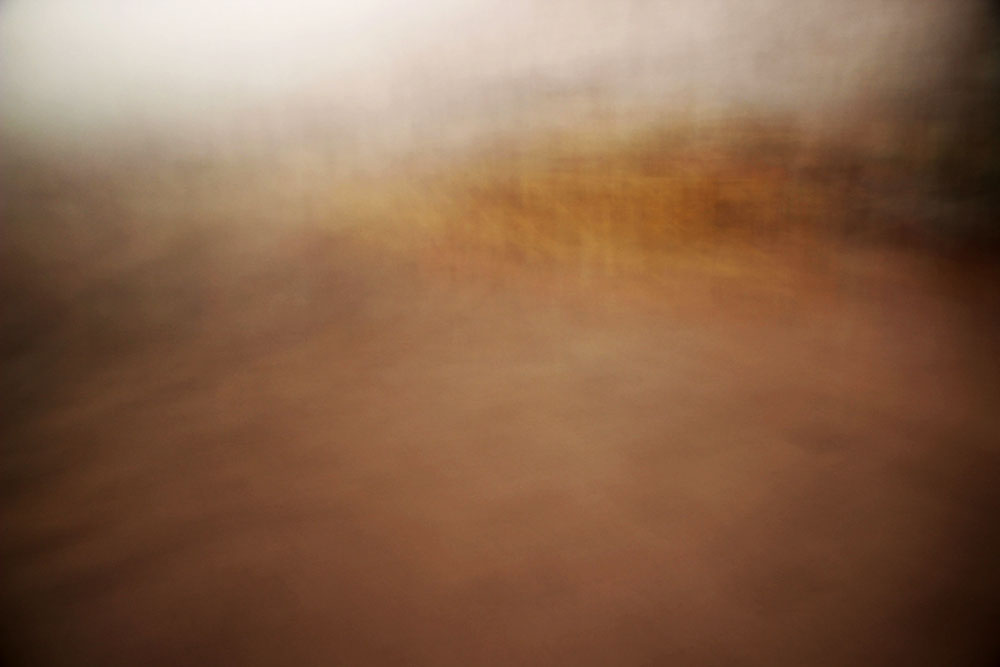 'Fields of Gold' - Vague by Nigel Maudsley, Brighton