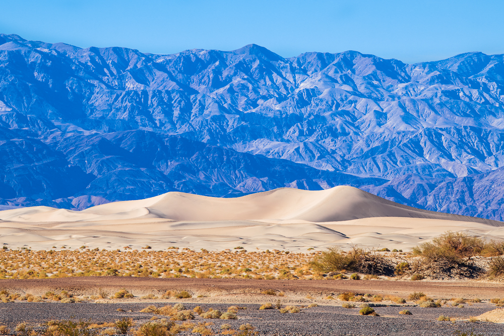 Pale desert dunes in front of a broad blue-gray mountain range