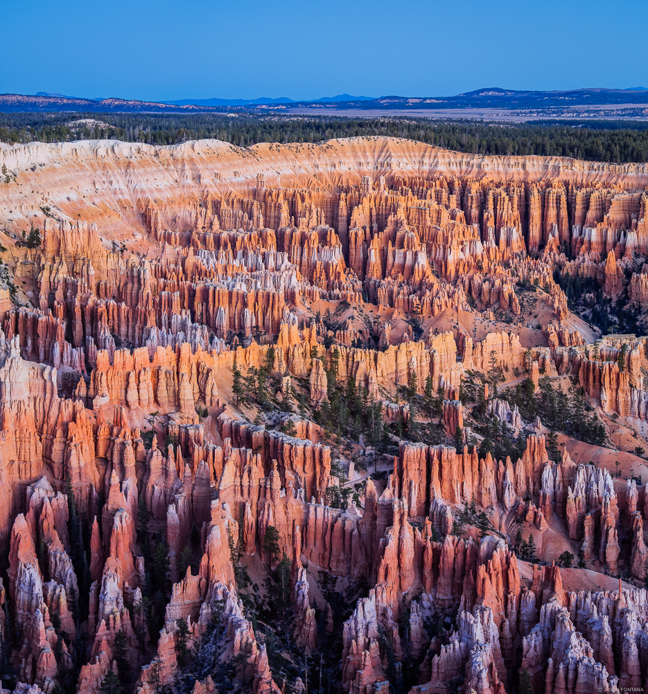 Dense field of orange rock spires below a distant horizon and blue sky