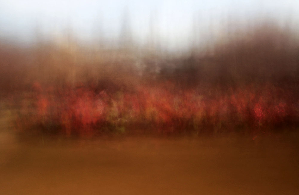 'Remembrance' - Vague by Nigel Maudsley, Brighton