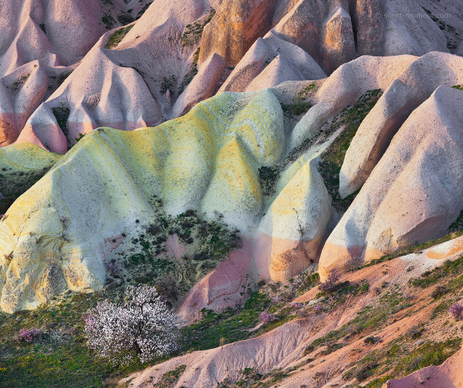 Rounded eroded tuff formations with pastel rock colors in the Rose Valley near Göreme, Cappadocia, Turkey