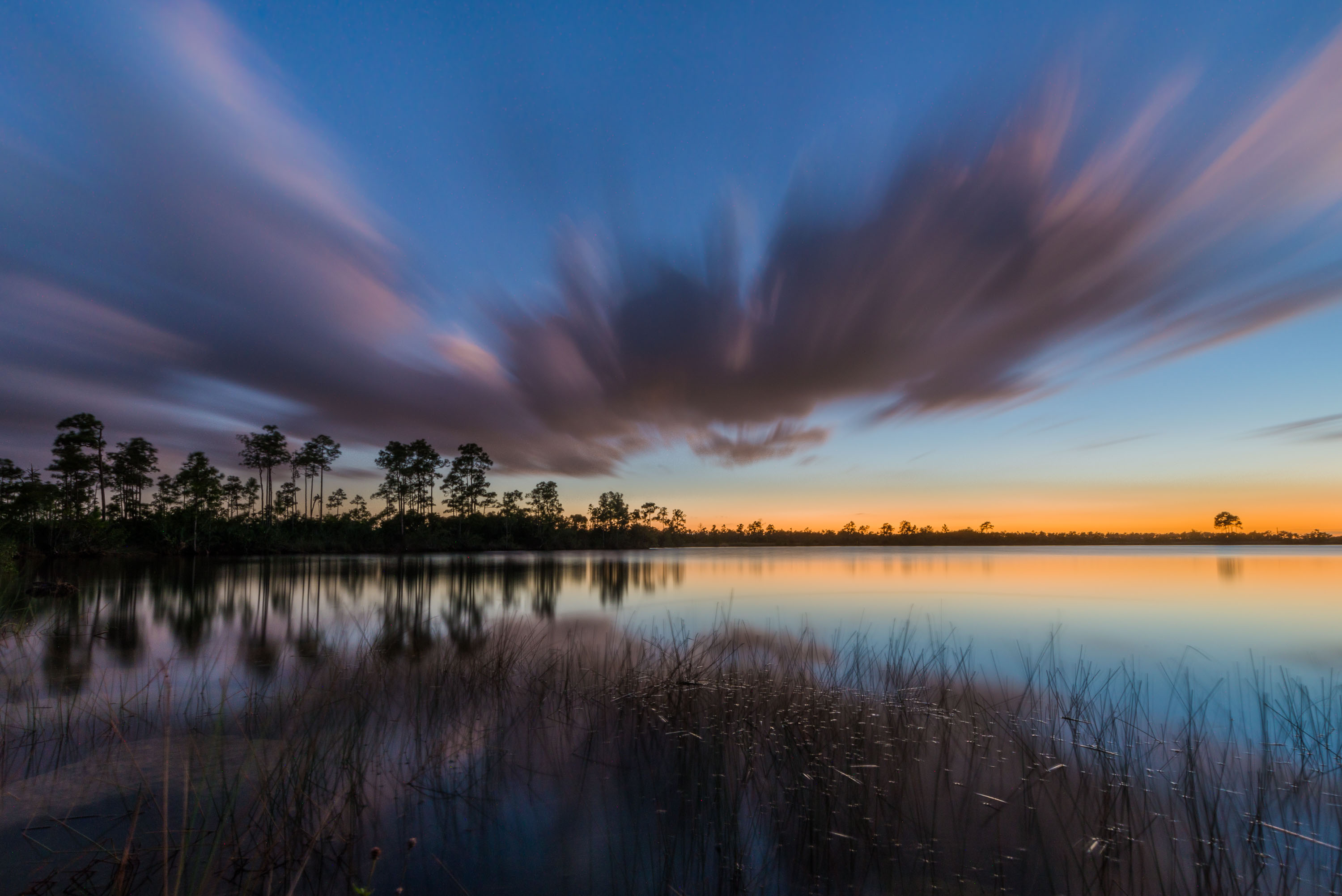 Long-exposure view of a calm lake at dusk with reeds in the foreground, trees silhouetted on the horizon, and streaked purple clouds