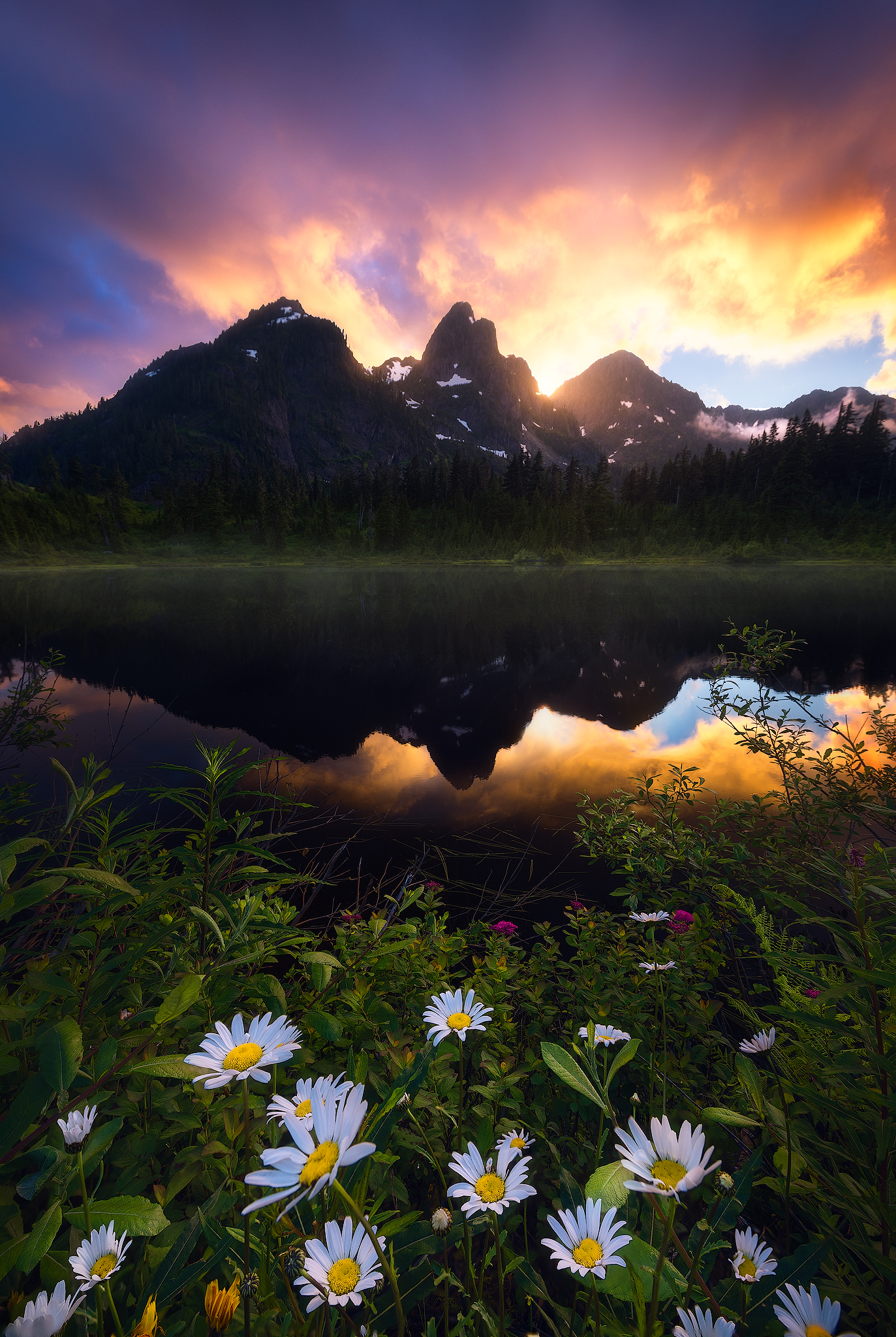 White flowers beside a lake reflecting dark mountain peaks under a bright sunset sky