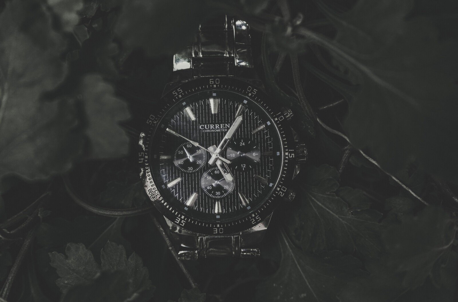 Black chronograph wristwatch with silver hands and markers among dark leaves