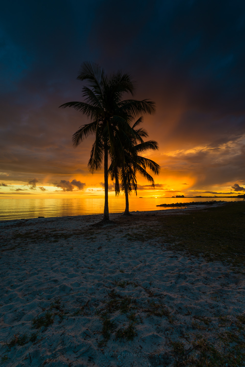 Two palm trees silhouetted on a beach as a sunset glows under heavy clouds