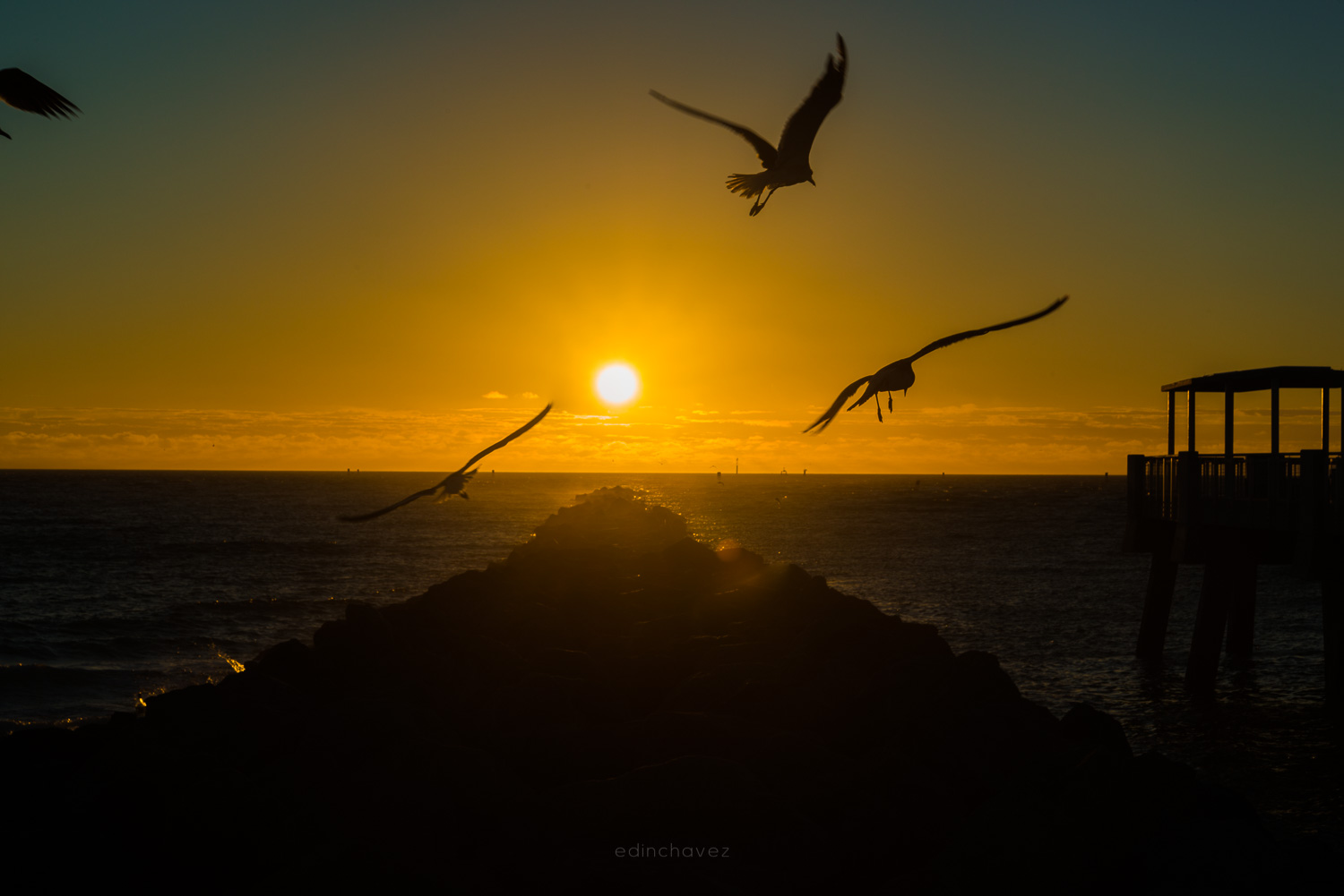Two gulls flying over the ocean near a rising sun, with a rock jetty and a wooden pier silhouetted in the foreground