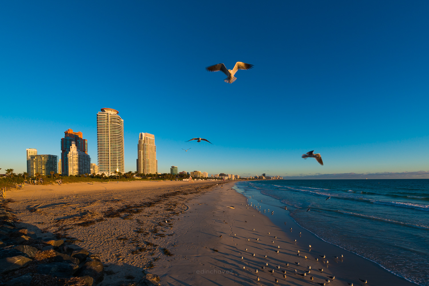 Beach with a row of tall condo towers, waves on the right, a gull in flight and a clear deep blue sky with no clouds