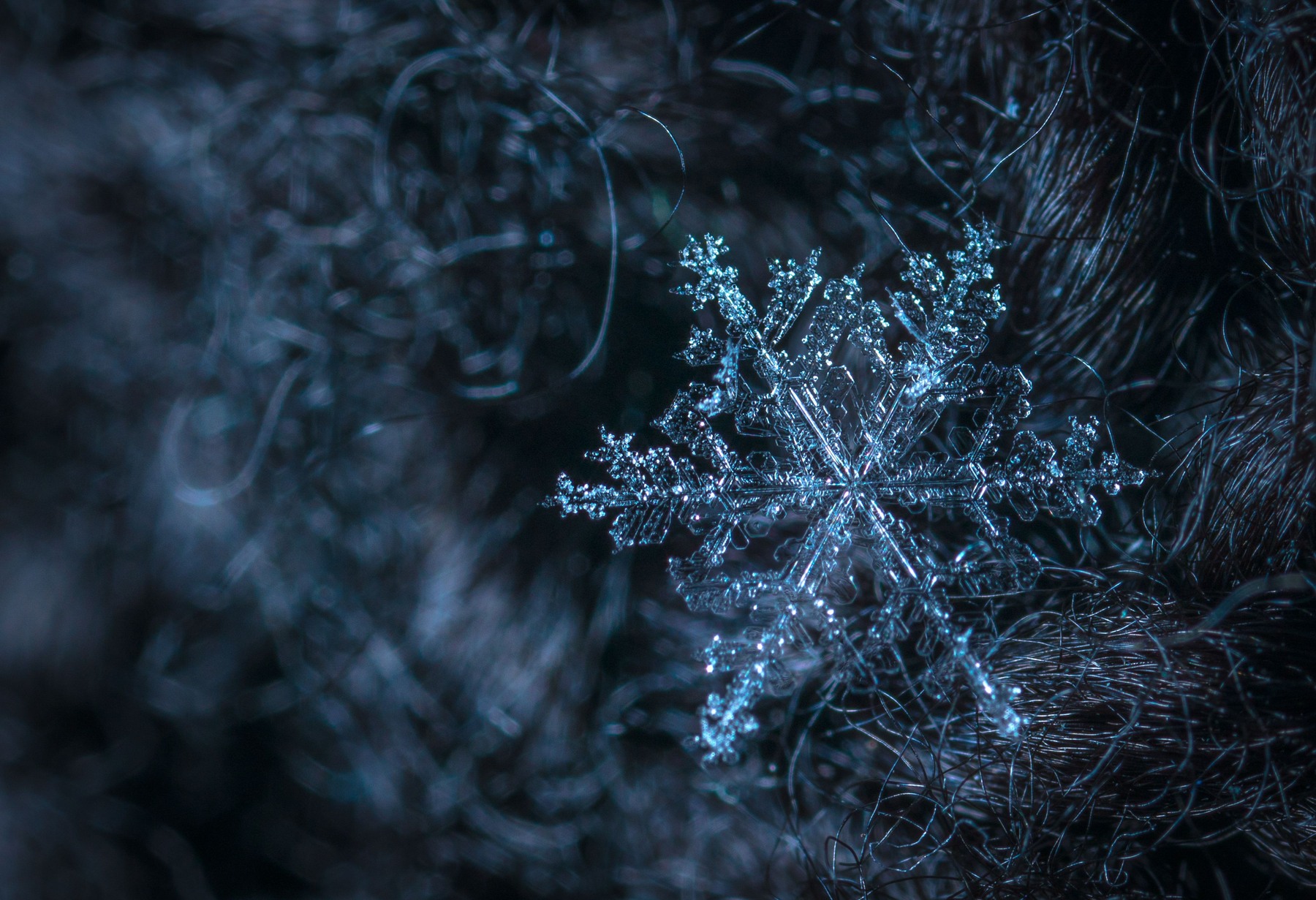 Six-branched snow crystal with fine inner lines resting on dark woven fibers