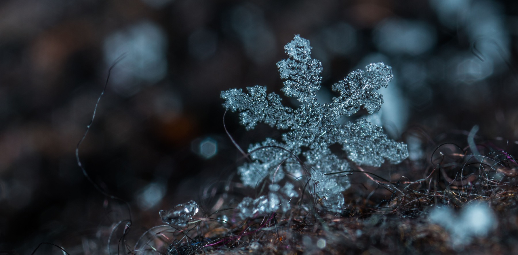 Broad frosted snow crystal with rounded branch tips above dark strands of cloth
