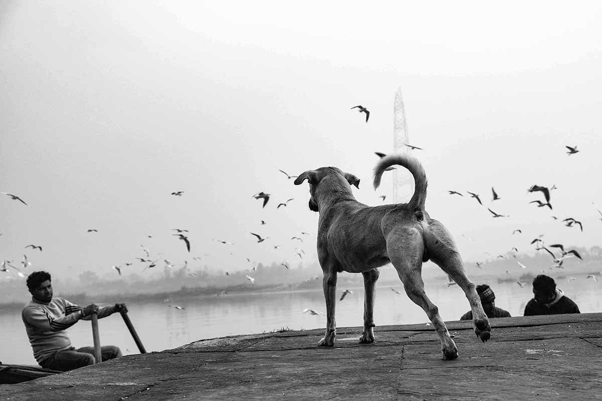 Mela at Red Fort | a festival of India