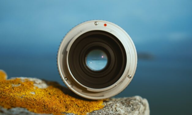 Macro Photography: A Guide to Choosing the Perfect Lens