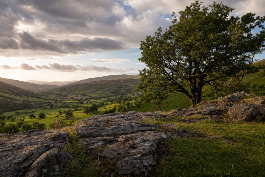 Environmental portrait in a real-world setting, natural ambient light, storytelling composition