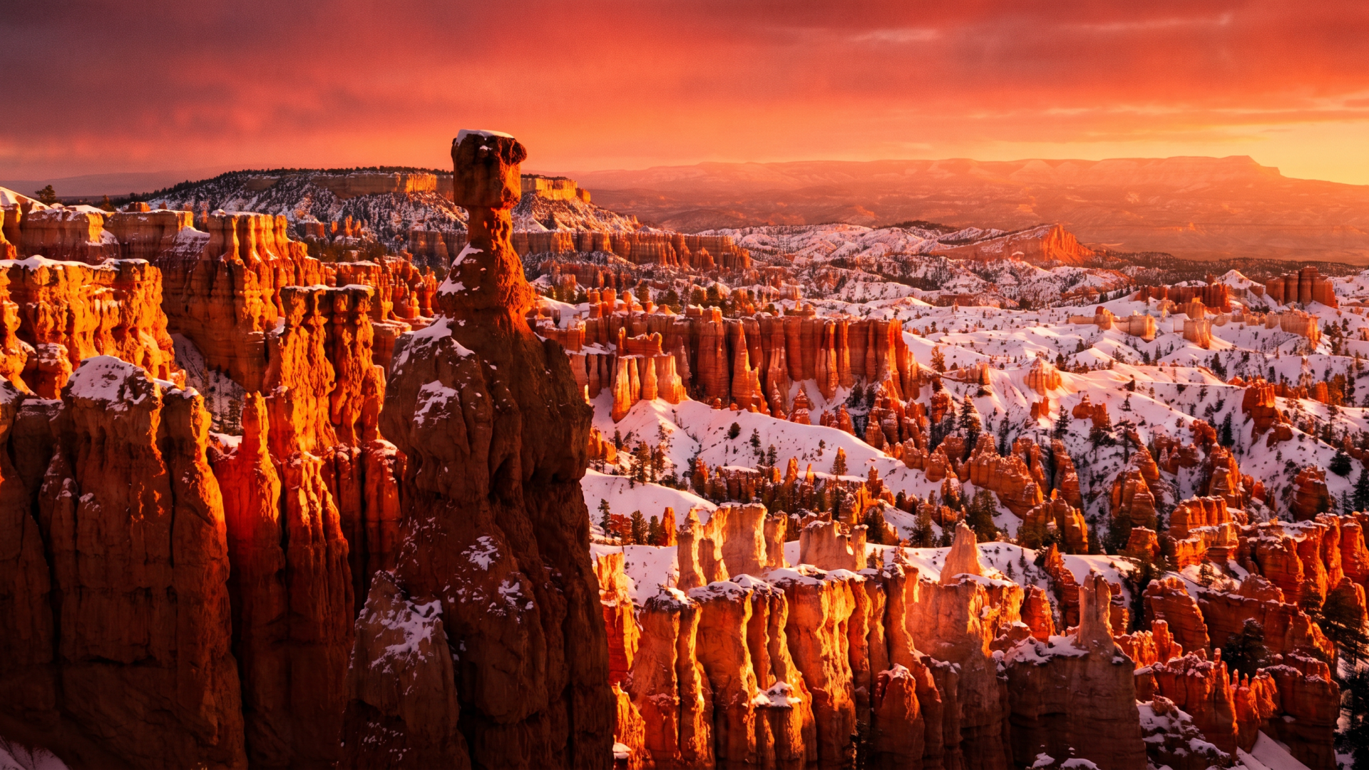 Bryce Canyon Ultimate Photographer’s Guide — 12 Locations
