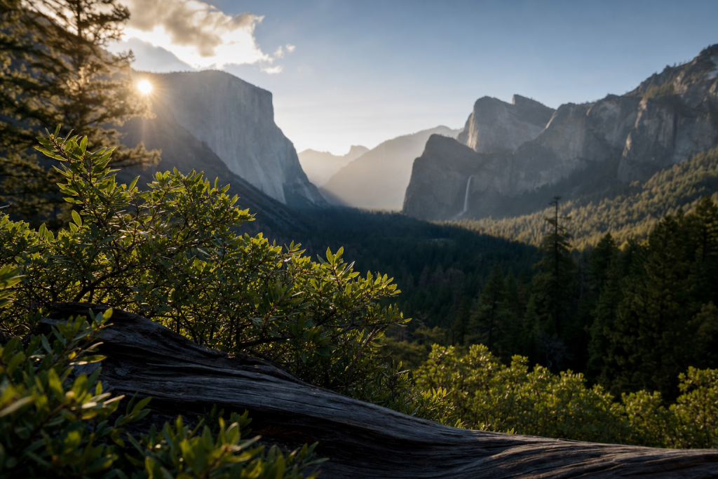Atmospheric scene related to How to Master Film look color grade Lightroom digital photos, soft directional light