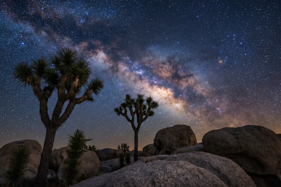 Joshua Tree Ultimate Photographer’s Guide — 12 Locations