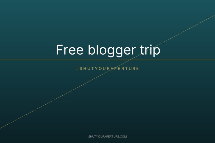 Free blogger trip