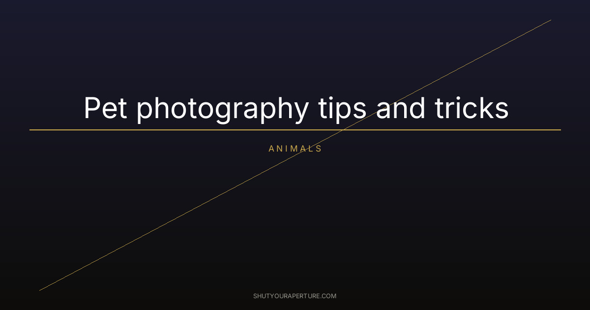 Pet photography tips and tricks