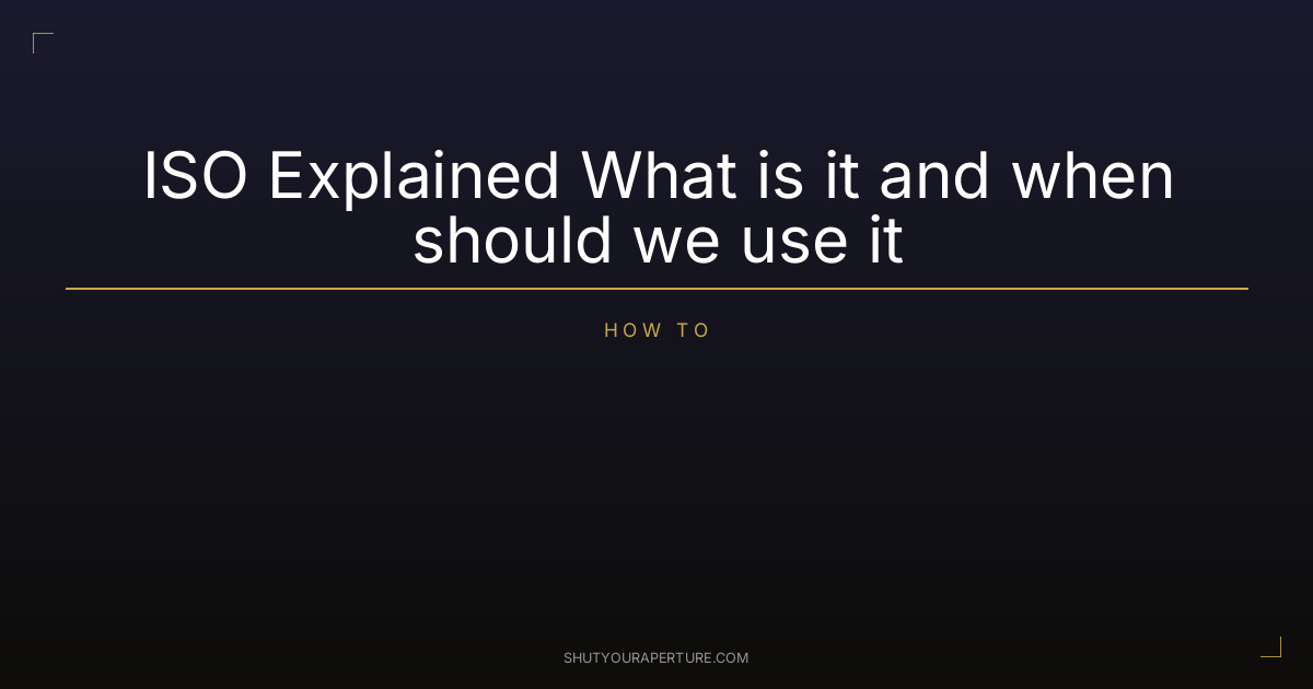ISO Explained: What It Is and When to Use It