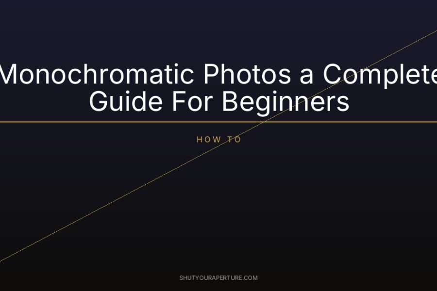 Monochromatic Photos a Complete Guide For Beginners