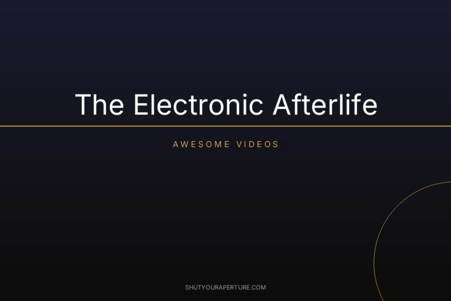 The Electronic Afterlife
