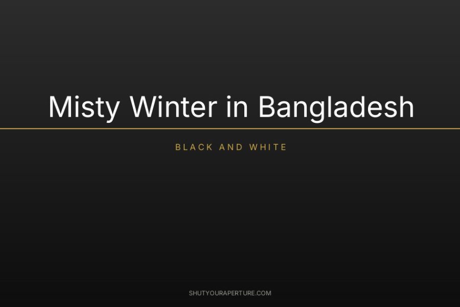 Misty Winter in Bangladesh