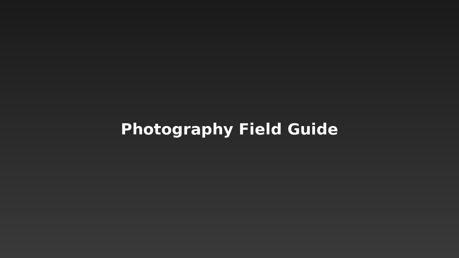 Beirut Photography Field Guide PDF