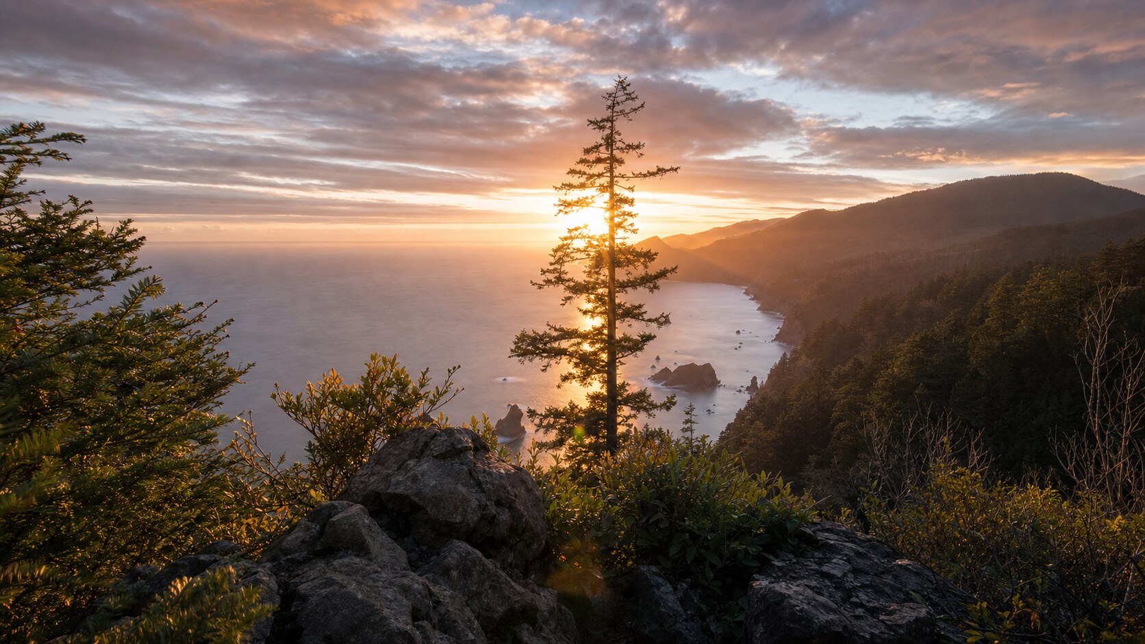 Sunrise landscape photograph at Redwood National Park from the most popular sunrise overlook, showing the signature foreground-to-background composition