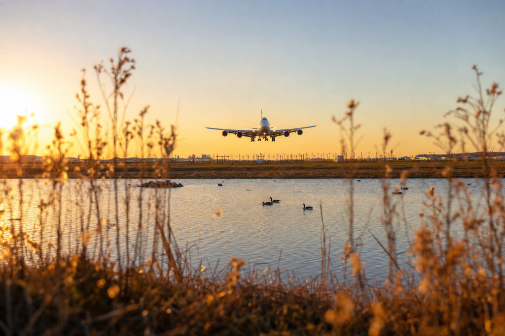 Atmospheric scene related to Best Photography Spots Near Heathrow Airport (LHR), soft directional light