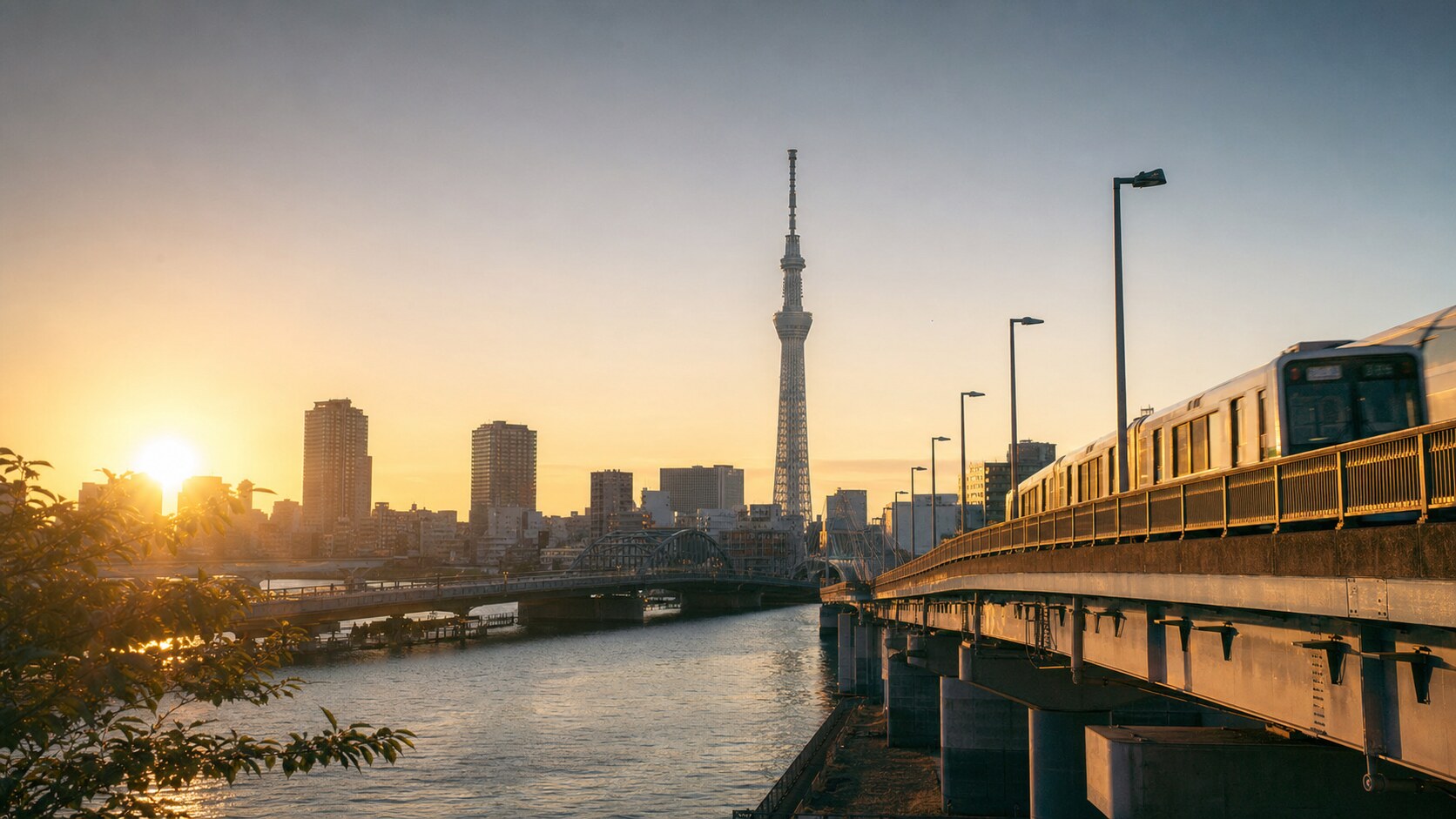 Tokyo photography tour at golden hour — wide landscape view from the main scenic vantage point used by photographer-led tours