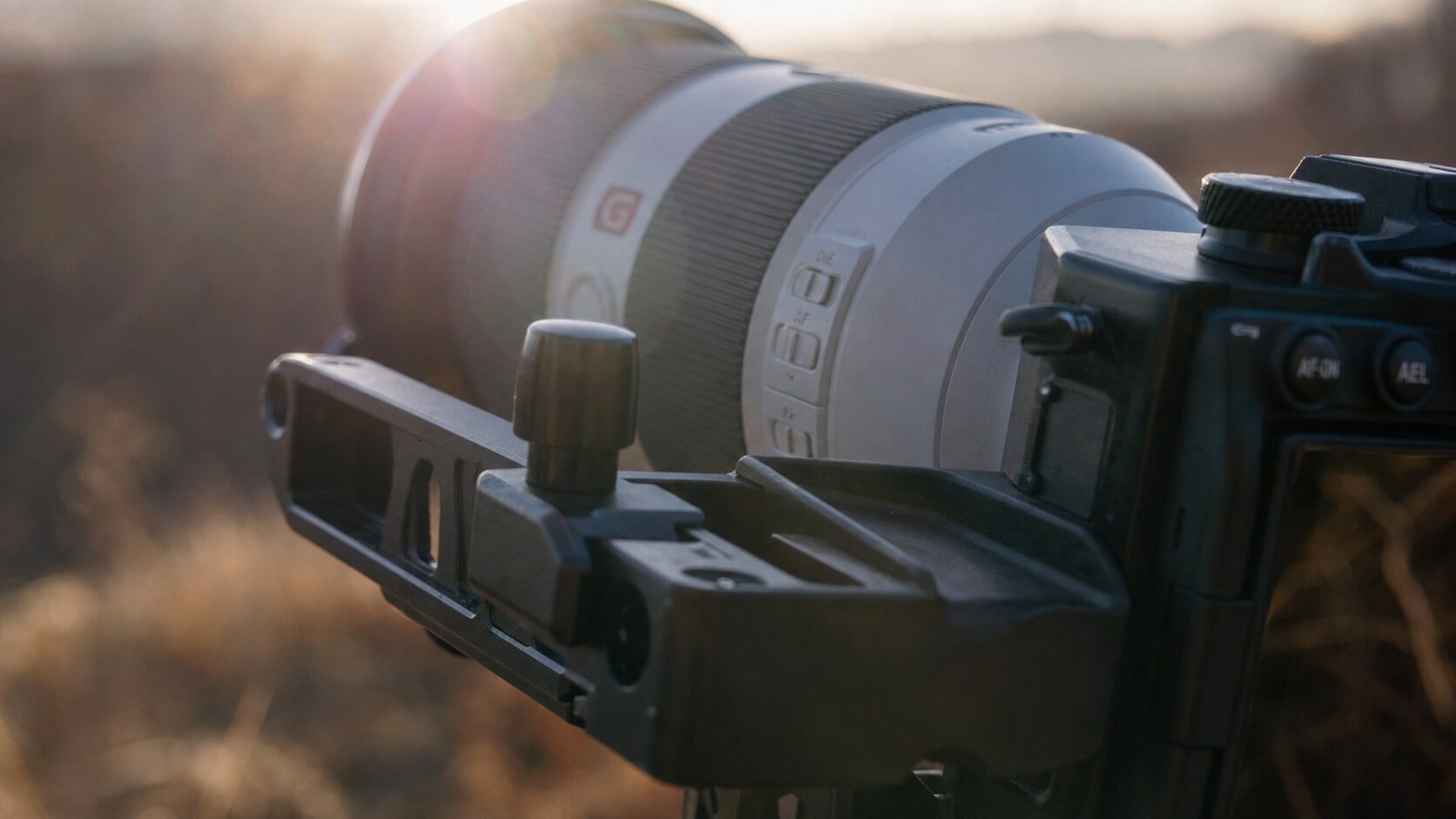 Macro detail study of photography subject related to Best Wildlife Photography Tours