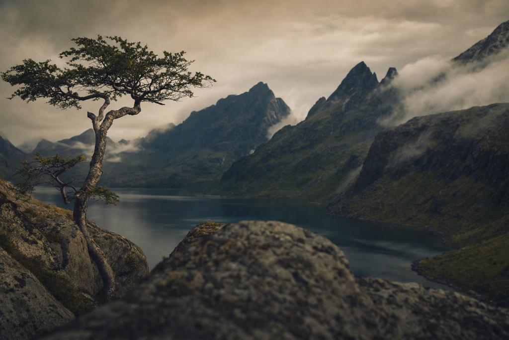 Atmospheric scene related to Dark and moody color grade photography settings (2026 Guide), soft directional light