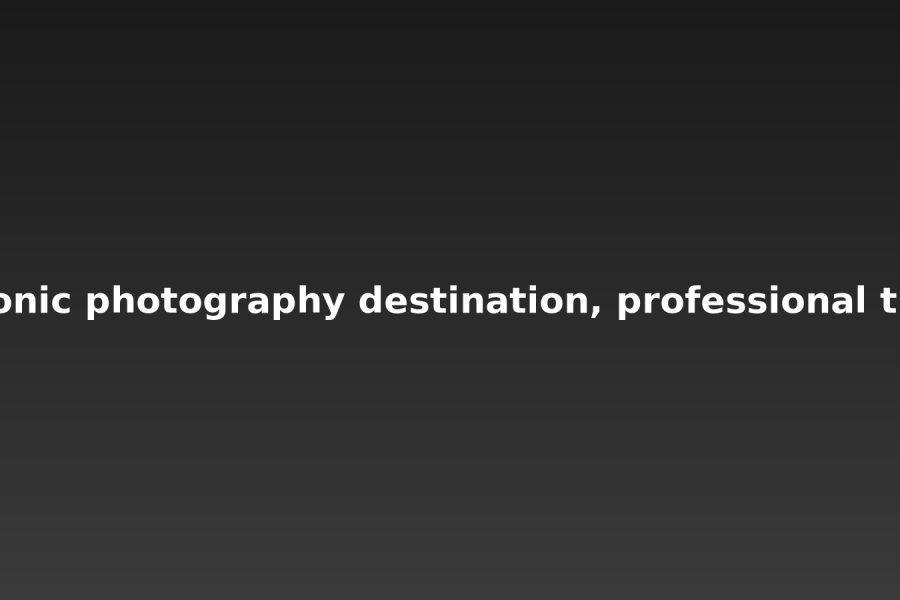 Delhi Photography Field Guide PDF