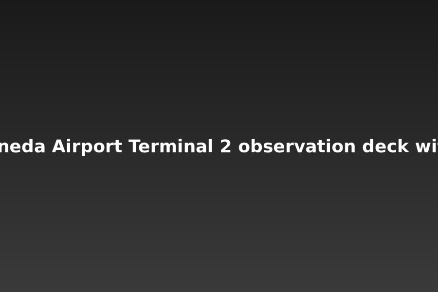 Haneda Airport Lightroom Preset Pack