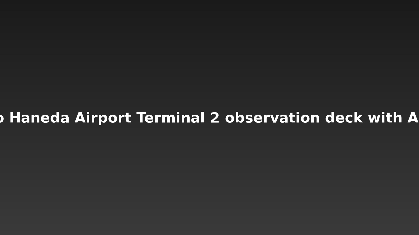 Haneda Airport Photographer’s Bundle — PDF Guide + Preset Pack