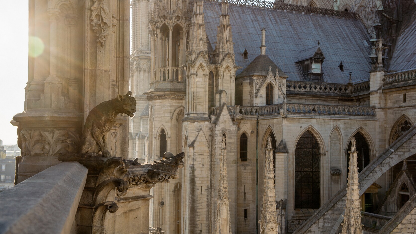 Close-up architectural detail of Notre Dame Paris at late afternoon, showing surface texture and material under directional sun