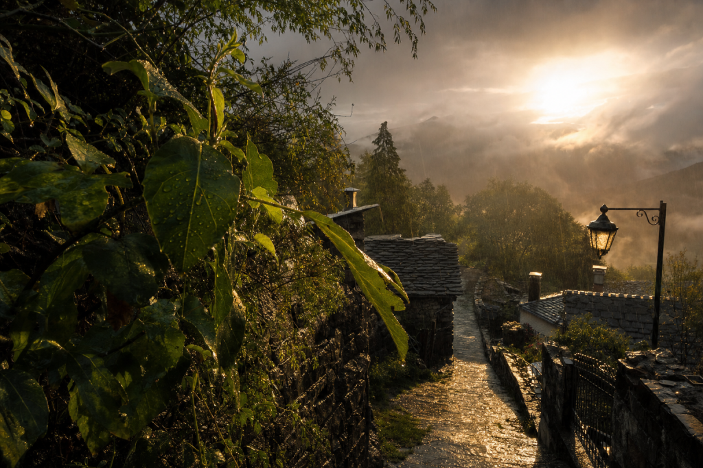 Detail-rich photograph related to How to Photograph Rain, late golden hour light, photorealistic, no text