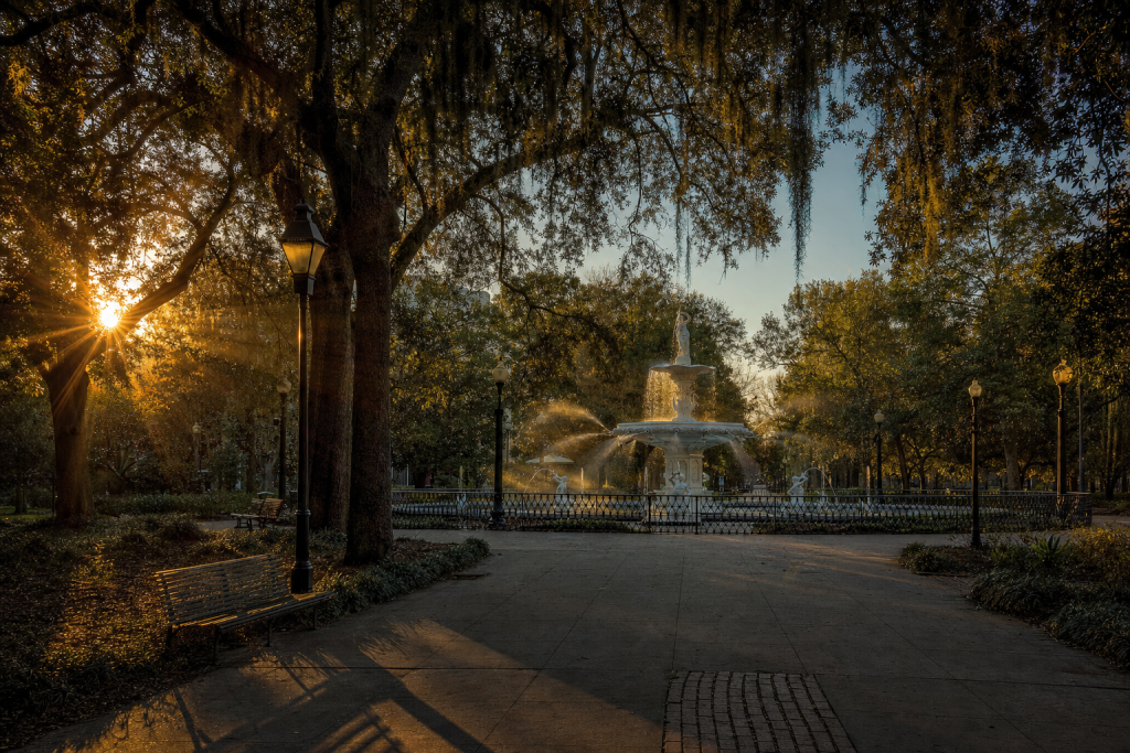 Sweeping landscape of Savannah Forsyth Park at sunrise, dramatic geological features, mist in valleys, warm rim light