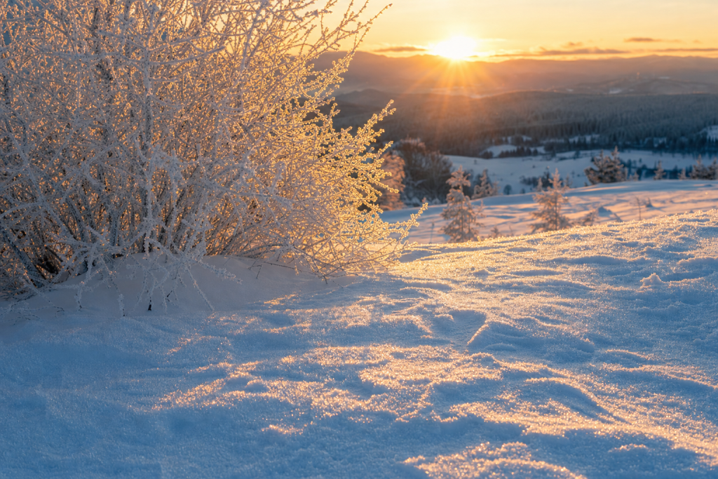 Detail-rich photograph related to How to Photograph Snow, late golden hour light, photorealistic, no text