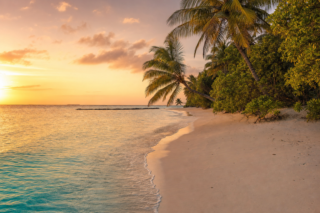 Detail-rich photograph related to How to Photograph Maldives Beaches, late golden hour light, photorealistic, no text