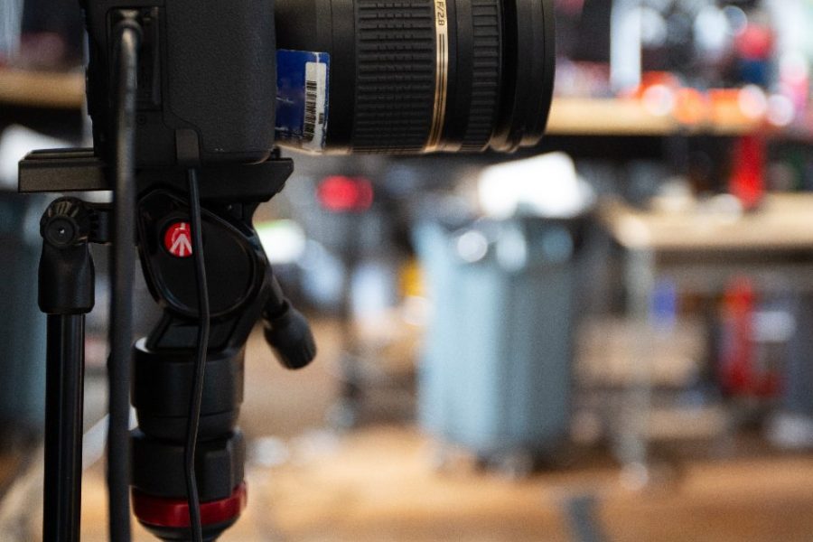Nikon Zf Settings for Wildlife Photography