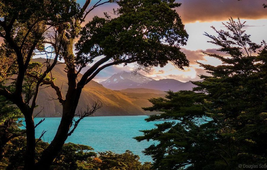 Sony A7 IV Settings for Landscape Photography