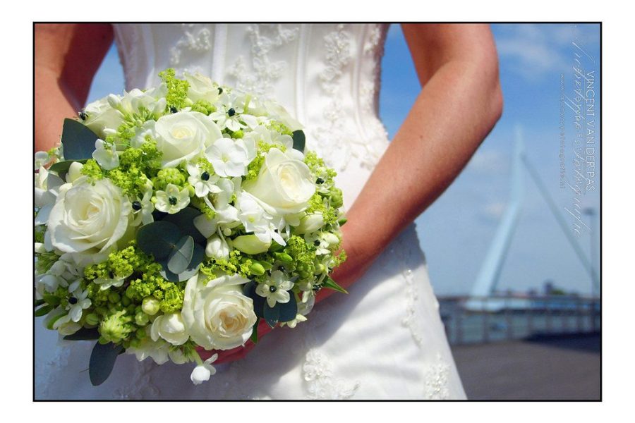 Nikon Z8 Settings for Wedding Photography