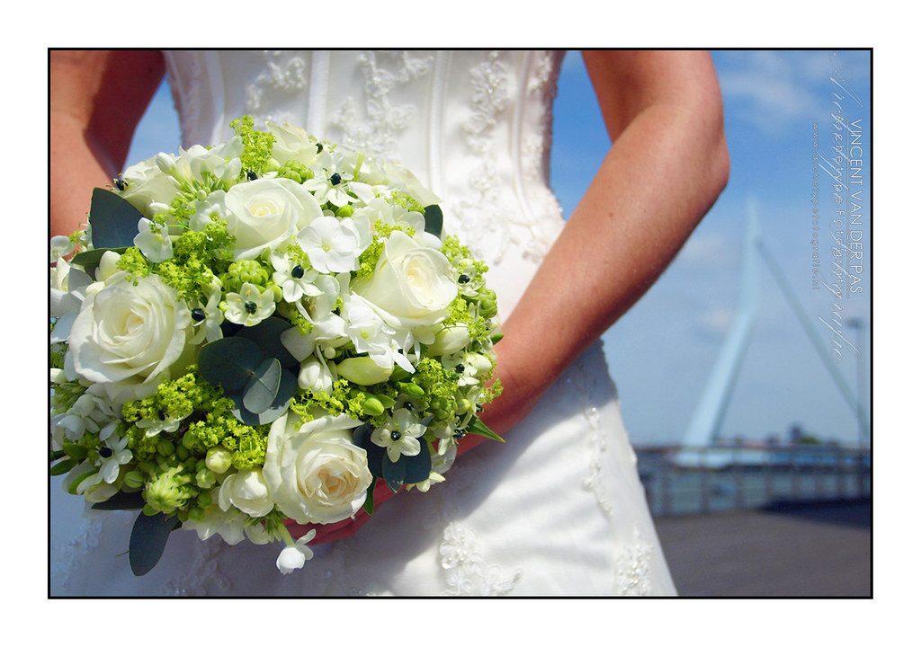 Nikon Z8 Settings for Wedding Photography