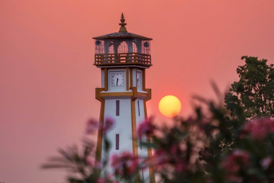 Golden Hour Photography: How to Capture Perfect Light