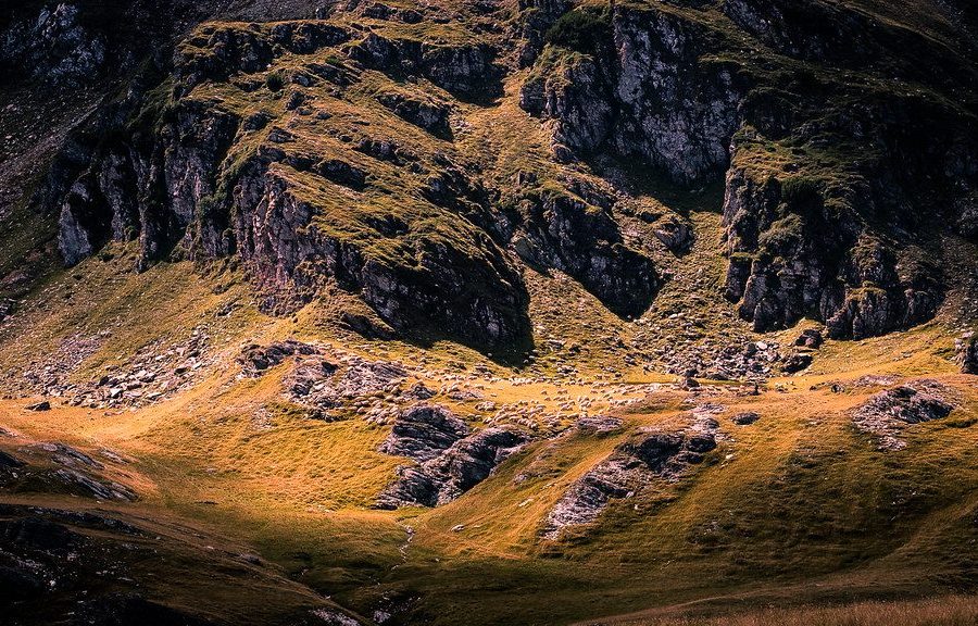 Sony A9 III Settings for Landscape Photography
