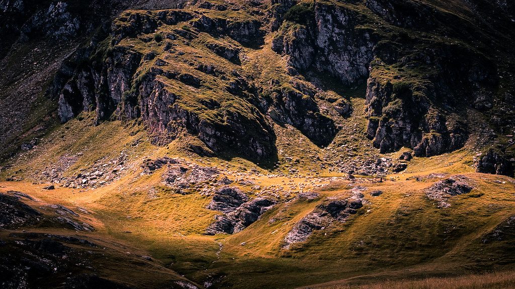 Sony A9 III Settings for Landscape Photography
