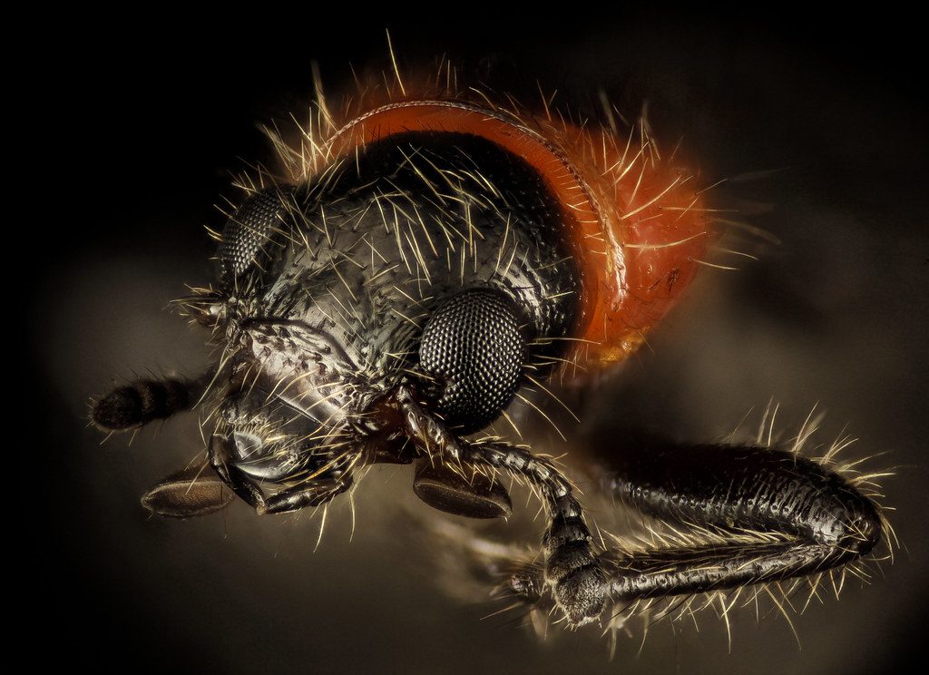 Close-up of a photographer
