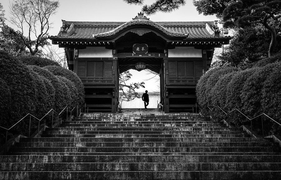 Canon EOS R8 Settings for Street Photography
