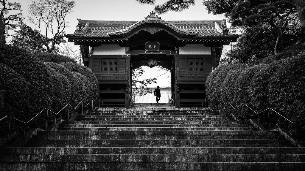 Canon EOS R8 Settings for Street Photography