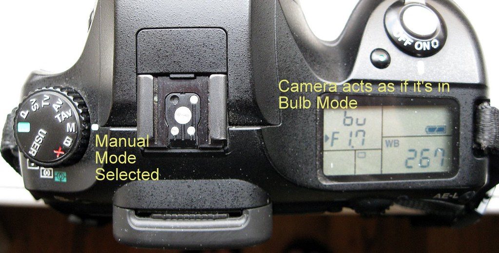 Photographer adjusting dials in a forest to learn how to use manual mode camera settings.
